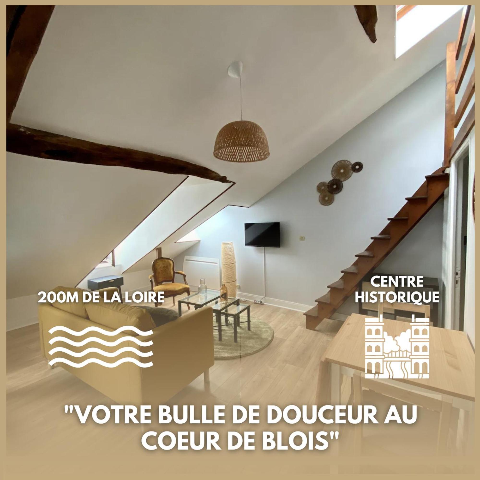 Le Cocon - Appartement En Hyper Centre 布鲁瓦 外观 照片